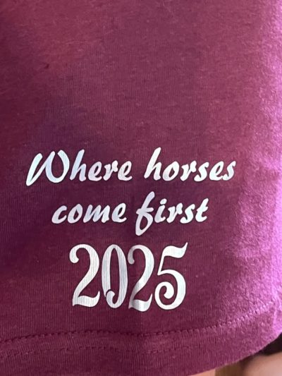 Upate :COMPLET
Une place de nouveau disponible pour cette semaine de stage du 11 au 15 août! ‼️ la dernière de l’été 🐴😎⭐️!